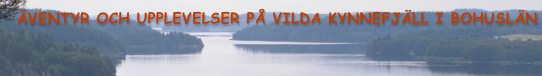 &Auml;VENTYR OCH UPPLEVELSER P&Aring; VILDA KYNNEFJ&Auml;LL I BOHUSL&Auml;N 
